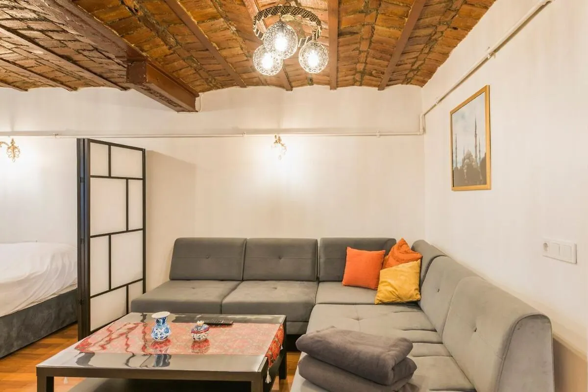 Beautiful 1 Bedroom Apt Wac 400 Meters Taksim Square Innv34004 Istanbul