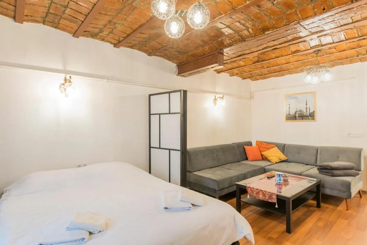 Beautiful 1 Bedroom Apt Wac 400 Meters Taksim Square Innv34004 Istanbul Türkei