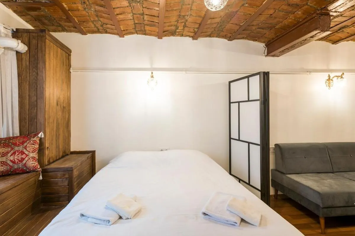 Beautiful 1 Bedroom Apt Wac 400 Meters Taksim Square Innv34004 Istanbul